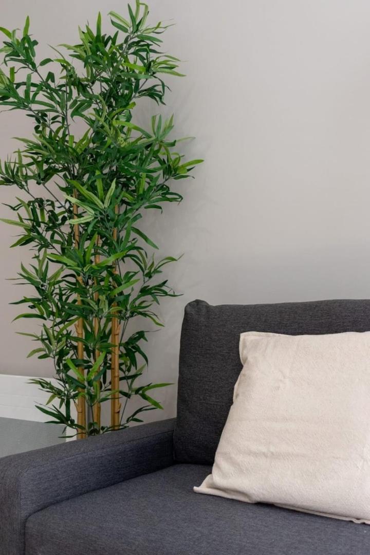 ליל Hypercentre -Apartment In Pedestrian Zone מראה חיצוני תמונה